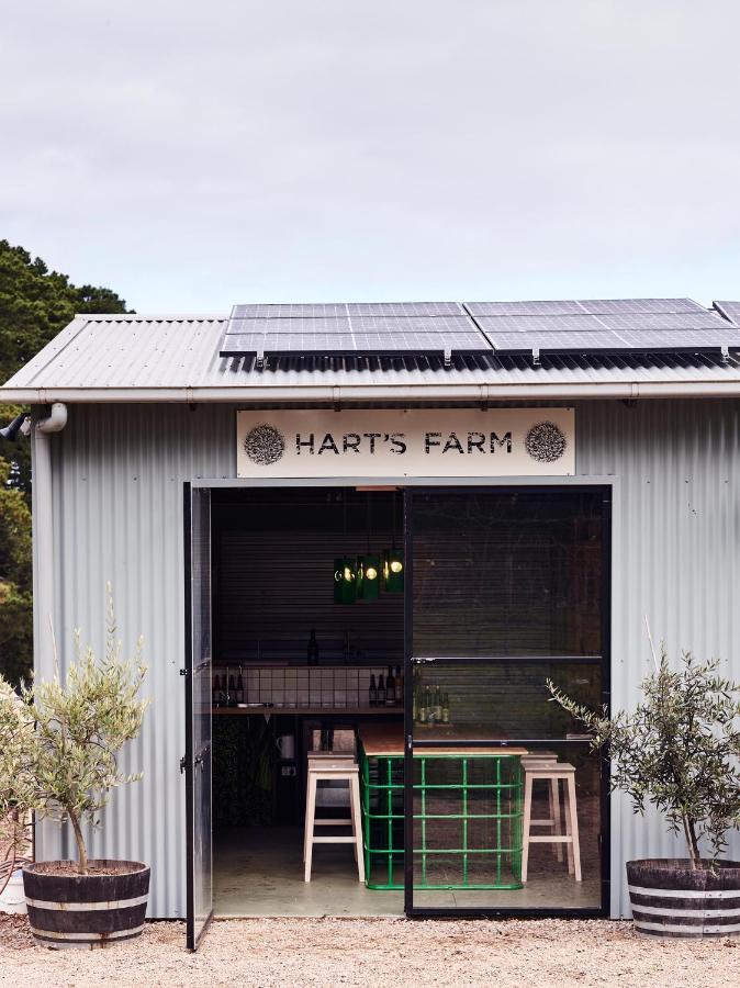 Hart'S Farm Bed and Breakfast Shoreham Buitenkant foto